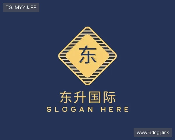 发现东升国际